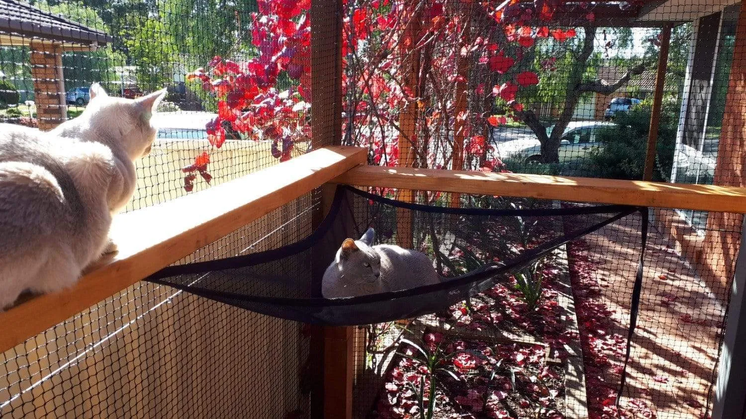 Cat Hammock to suit Classic & Premium Portable Enclosures