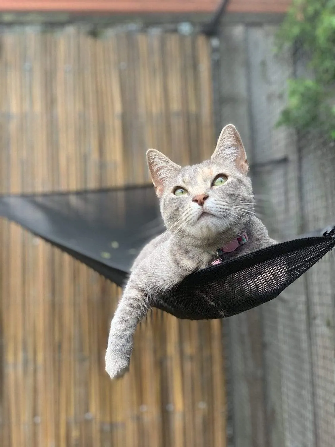 Cat Hammock to suit Classic & Premium Portable Enclosures