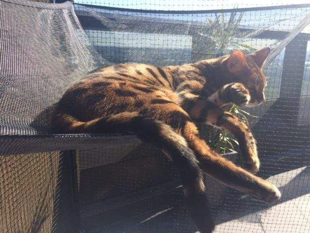 Cat Hammock to suit Classic & Premium Portable Enclosures