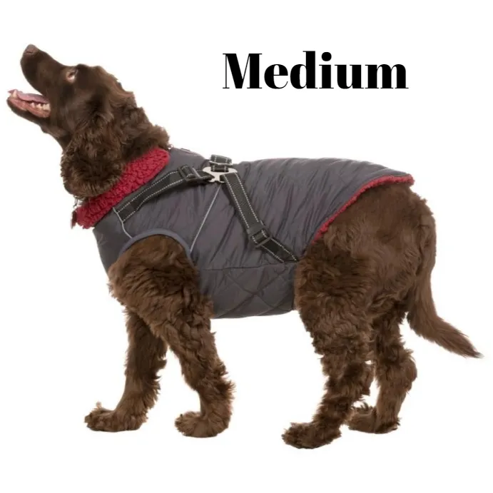 Hercules - Windproof 2 In 1 Dog Jacket With Harness