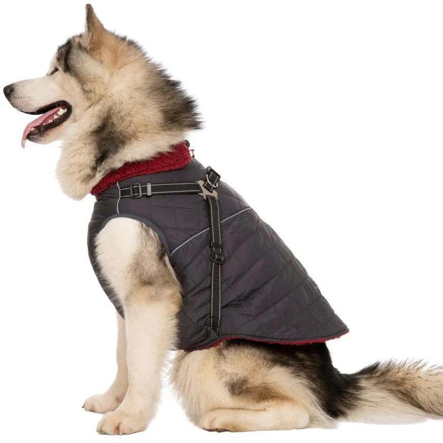 Hercules - Windproof 2 In 1 Dog Jacket With Harness