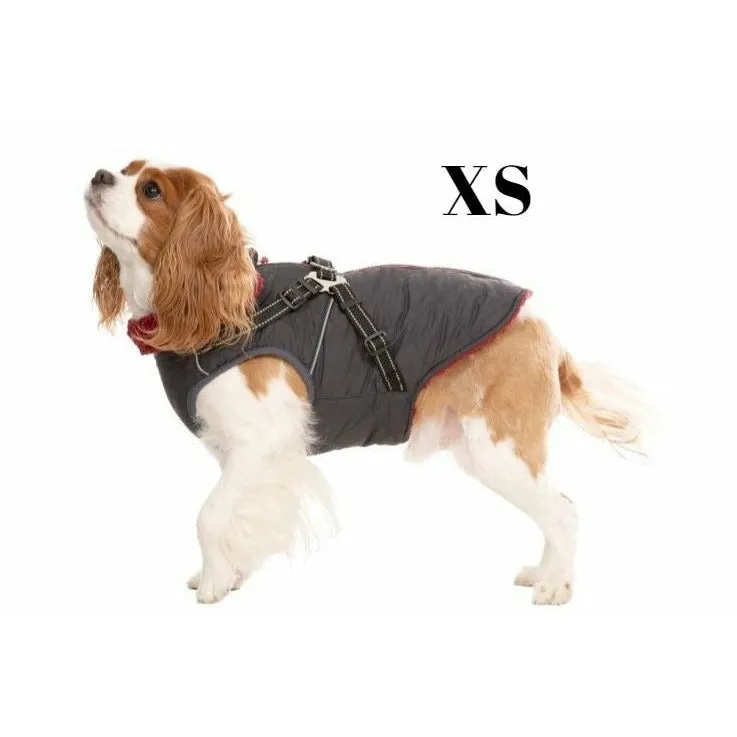 Hercules - Windproof 2 In 1 Dog Jacket With Harness