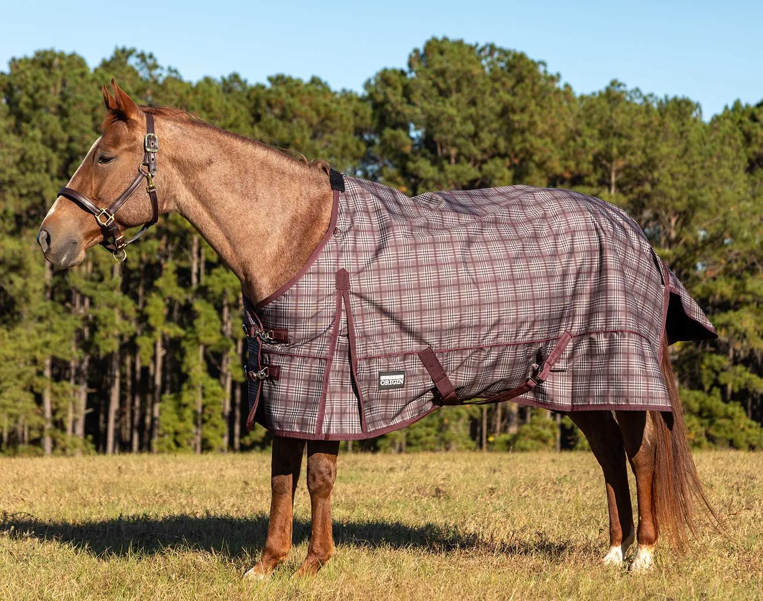 Jeffers Poplar Head Origin 600 Denier Turnout Blanket, 0 Gram, Espresso and Wine Plaid