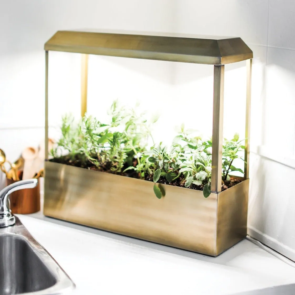 Smart LED Growhouse  | Countertop Grow Light with Planter